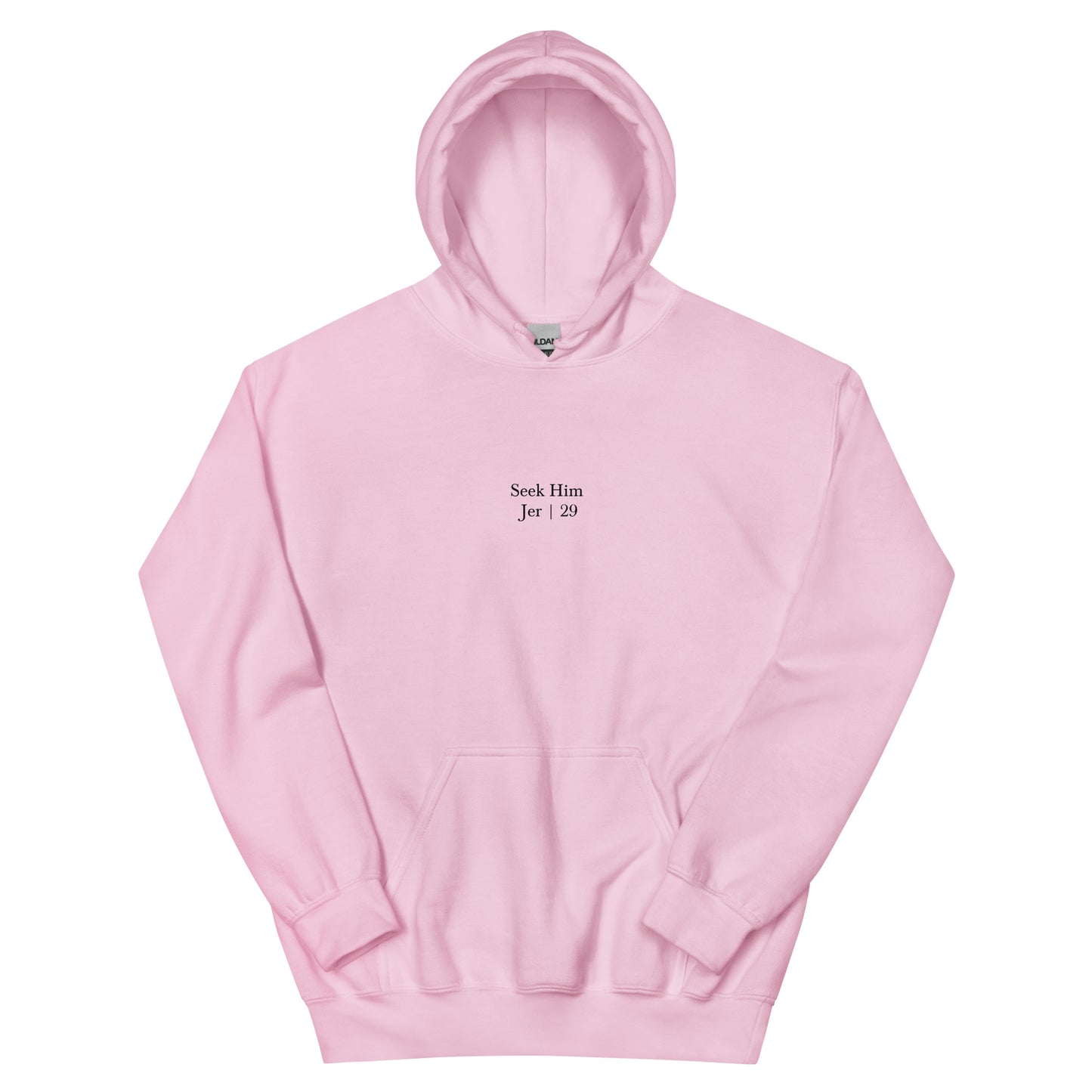 Jeremiah 29 Hoodie