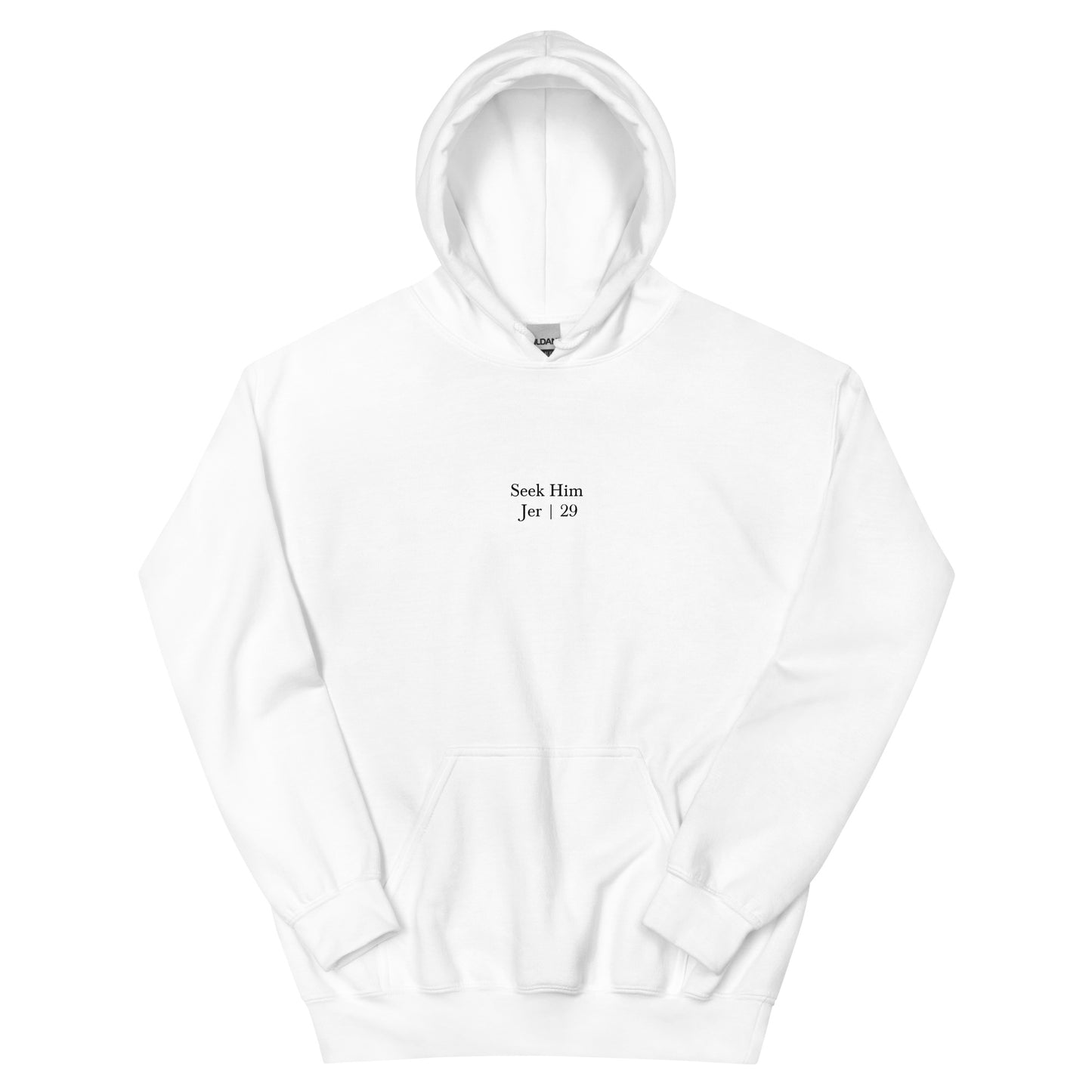 Jeremiah 29 Hoodie